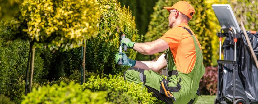 3 Tips For Landscaping That Does Not Harm The Environment